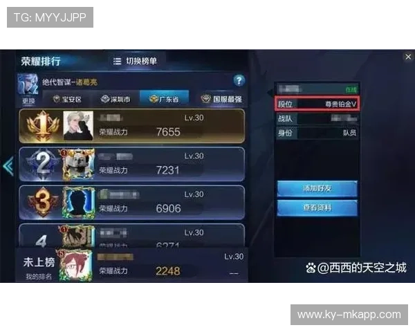 《王者荣耀》《荣耀之巅》：最强战队争锋全球！