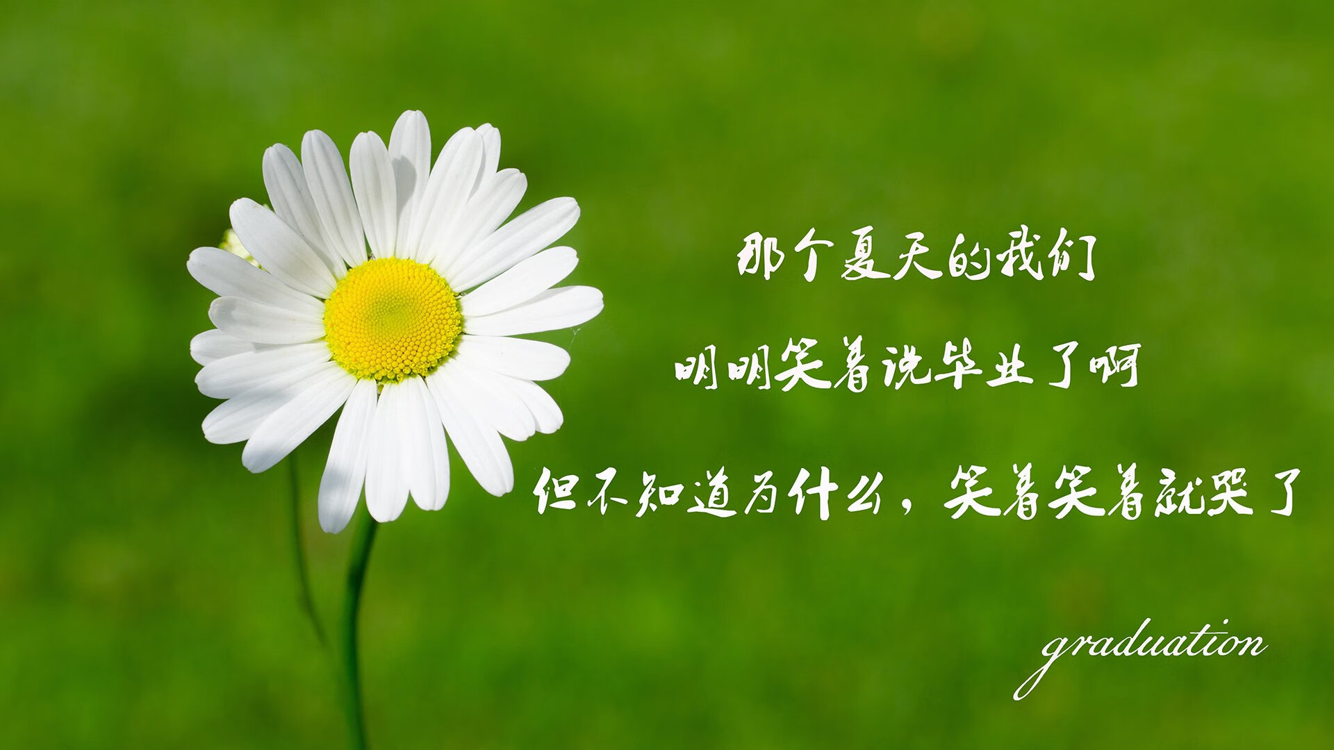 mk体育-大牌云集：世俱杯明星阵容备受期待，世俱杯影响力大吗