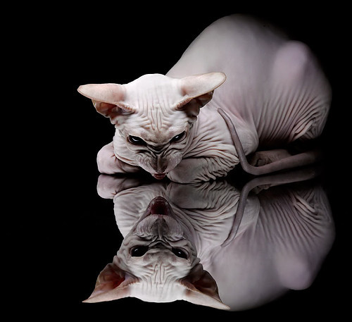 中国三人篮球队攻防一体化表现优异，中国三人篮球队攻防一体化表现优异吗