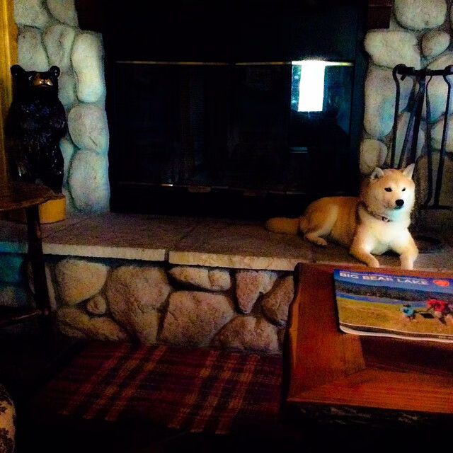 五大联赛是否提高门将出击区域以缓解后防压力，五大联赛推荐