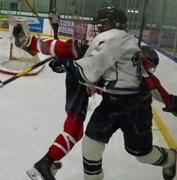 mk中国官网-世界冰球:加拿大队霸气夺冠,再刷新纪录!,加拿大冰球比赛视频