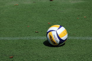 MK体育应用-女子排球世锦赛中国队逆转强敌夺冠，女子排球世锦赛几年一届